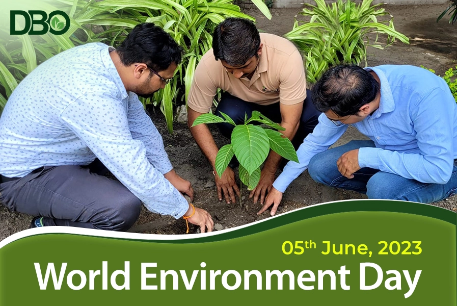 World Environment Day at DBO
